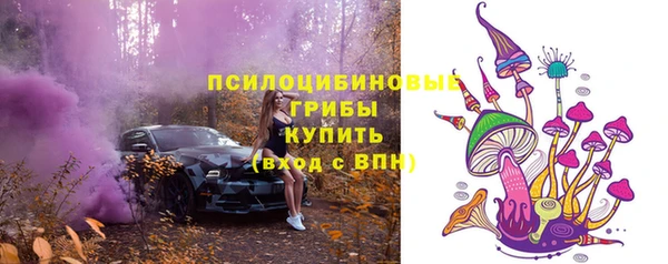 дживик Алексеевка