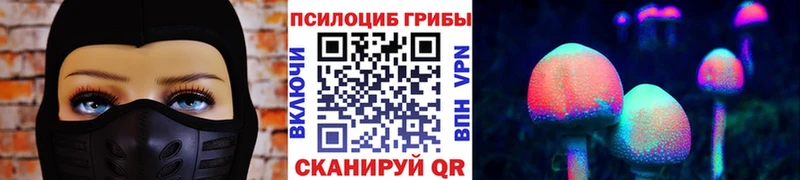 где купить наркотик Тюмень Псилоцибиновые грибы мицелий